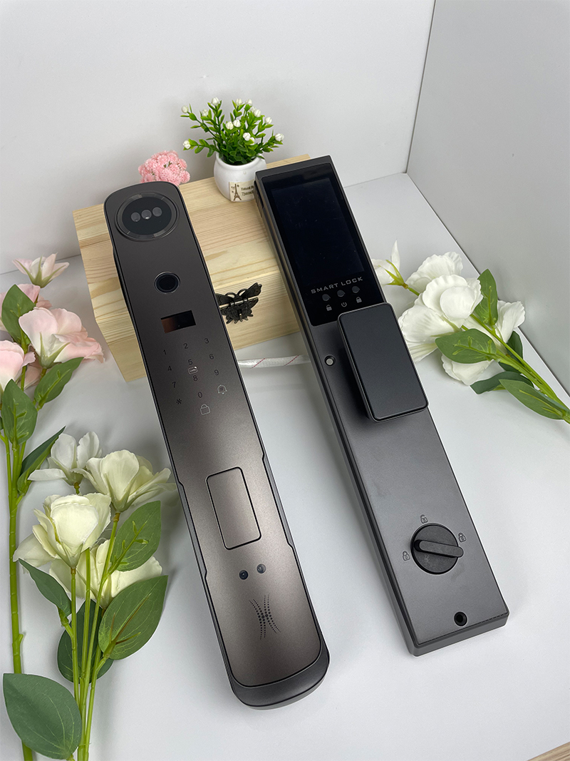 smart door lock